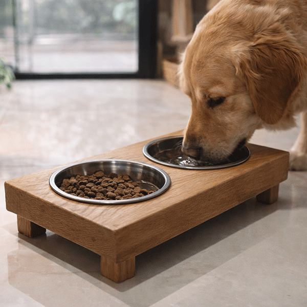 Hranilica-za-pse-1 Hranilice za pse