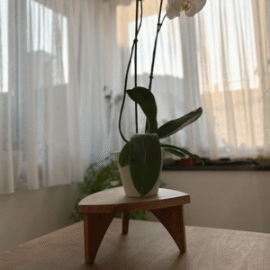 drveno postolje za cveće od punog drveta